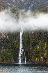 新西兰米尔福德州悬崖山脉地标峡湾晴天旅游场景海岸线旅行岩石图片