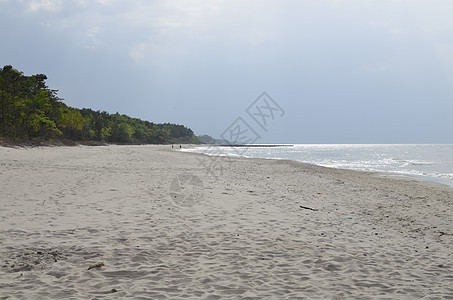 带森林 海滩 海和风暴云的波罗的海景观风暴松树蓝色阳光海浪海岸光束天空绿色海景图片