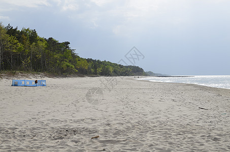 带森林 海滩 海和风暴云的波罗的海景观绿色松树风暴海景钓鱼光束地平线海浪天空叶子图片