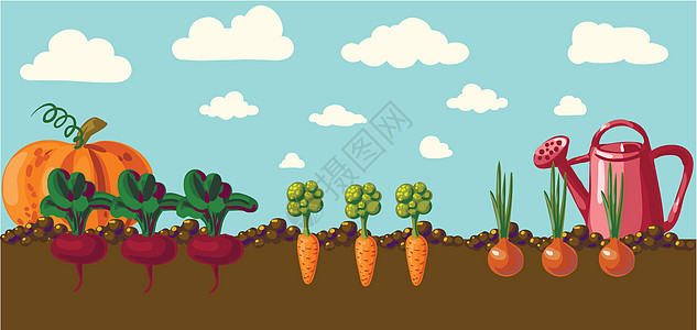 带有根蔬菜的古老花园横幅派对土壤植物蓝色农场农业插图卡通片场地萝卜图片