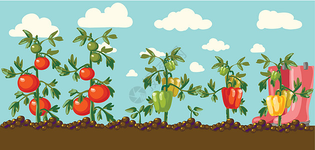 花园矢量树叶园艺土豆沙拉生活方式植物蔬菜水果饮食营养图片