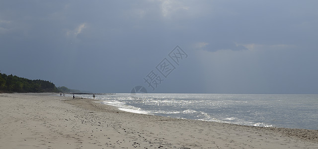 带森林 海滩 海和风暴云的波罗的海景观松树蓝色天空风暴阳光钓鱼绿色海岸叶子海浪图片