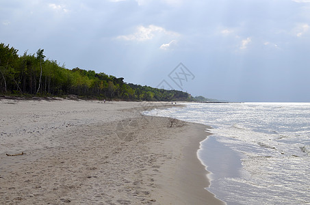 带森林 海滩 海和风暴云的波罗的海景观钓鱼风暴阳光叶子绿色海景蓝色天空海岸松树图片