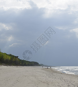 带森林 海滩 海和风暴云的波罗的海景观海景光束海岸蓝色阳光风暴松树海浪叶子绿色图片
