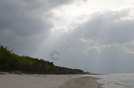 带森林 海滩 海和风暴云的波罗的海景观钓鱼光束天空海岸阳光叶子蓝色绿色风暴松树图片