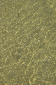 绿水中的阳光反光波纹游泳墙纸绿色海洋海浪反思液体反射背景图片