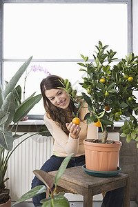 妇女在家里操养被煮熟的橙子树女士一人好奇心微笑家庭生活窗户棕色女性花盆盆栽图片