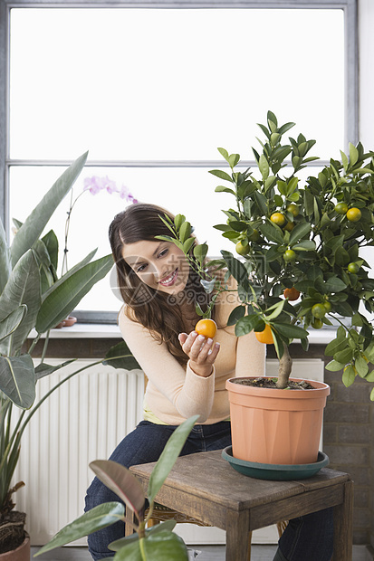 妇女在家里操养被煮熟的橙子树女士一人好奇心微笑家庭生活窗户棕色女性花盆盆栽图片