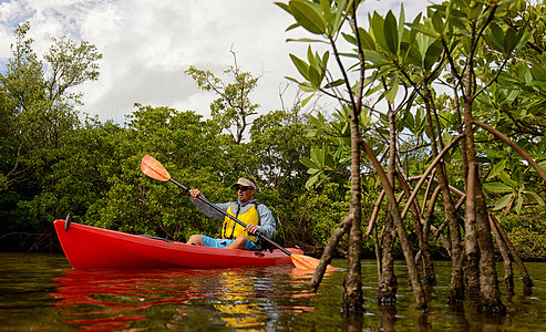 红色皮艇和人旅行冒险淡水独木舟乐趣活动运动运动员叶子荒野图片