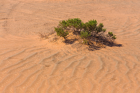 阿拉伯沙漠衣服游客沙丘旅行沙漠沙景男人荒野天空冒险图片