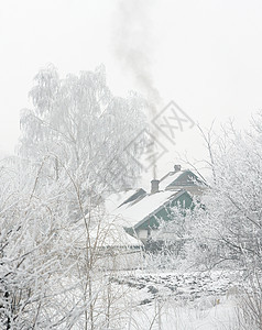 冬季村庄寒雪日图片