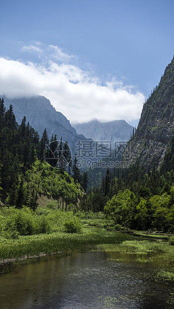 自然景观美丽游客水流旅游生态蓝色反射环境风景叶子图片