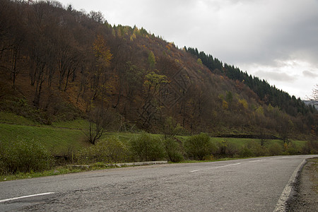 秋天在山丘上筑坡路生活爬坡树木假期沥青场景财产曲线蓝色风景图片