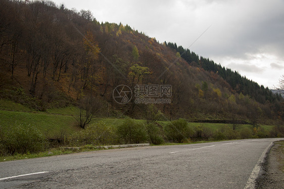 秋天在山丘上筑坡路生活爬坡树木假期沥青场景财产曲线蓝色风景图片