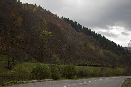 秋天在山丘上筑坡路沥青爬坡财产曲线风景风暴蓝色假期树木生活图片