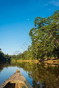 在马德雷德迪奥斯的亚马逊雨林风景地标植被森林目的地旅行自然公园地方船位丛林图片