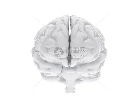 3D人脑神经系统科学风暴白色卫生专注裂片思考头脑外科图片