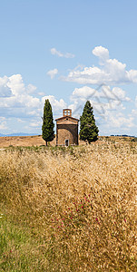 图斯卡纳国家农村植物伴奏风景生命力合唱绿色草地天空教会图片