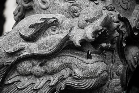 狮子石雕像狮子雕塑监护人岩石古董入口建筑文化历史艺术图片