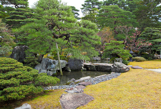 日本花园水池衬套池塘叶子卵石草地石头松树植物公园图片