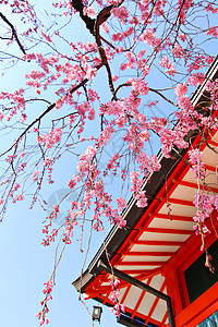 日本寺庙和山仓图片