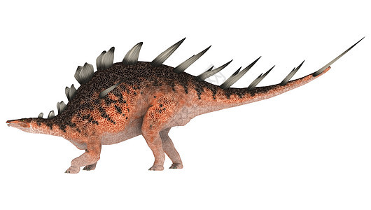 恐龙天文词库插图白色动物生物怪物博物馆爬虫蜥蜴时代计算机图片