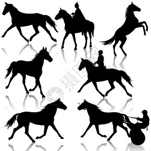 设置马和 jocke 的矢量剪影自由良种马术荒野野马鬃毛农场插图行动饲养图片