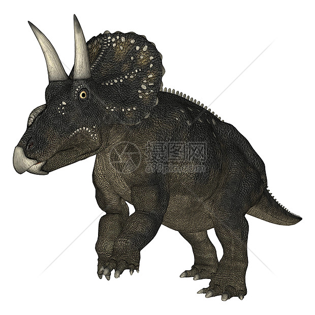 恐龙糖尿病白色生物古生物学捕食者博物馆时代插图牛角侏罗纪动物图片