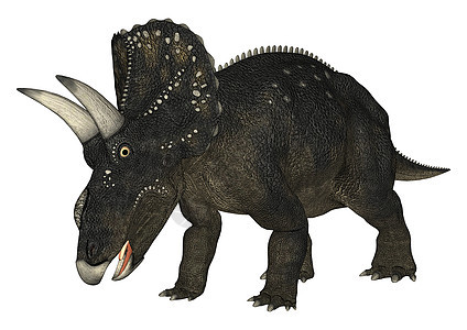 恐龙糖尿病绿色怪物白色牛角捕食者插图动物野生动物时代古生物学图片