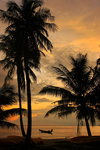 日出时有棕榈树的热带海滩 全国马安通海洋海景公园丛林国家旅行日落天空海湾海岸线背景图片
