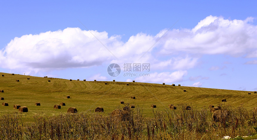 农田田地上的草原滚篮土地天空草地场地粮食干草收获收成国家地平线图片