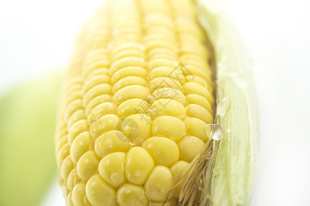 玉米角耳朵内核粮食花园农场环境生长膳食饮食叶子图片