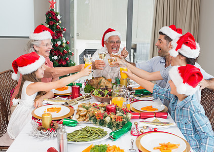家庭在圣塔的帽子 烤红酒杯 在餐桌上童年儿子老年白酒男性男人小玩意儿女孩酒精食物图片