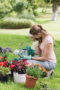 母亲和女儿从事园艺工作手套草地童年花盆家长女士土地喷壶爱好植物图片