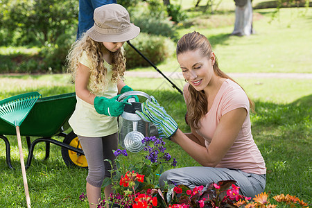 母亲与女儿的浇水植物喷壶家庭手套帽子花盆独轮车男性花园土地生长图片