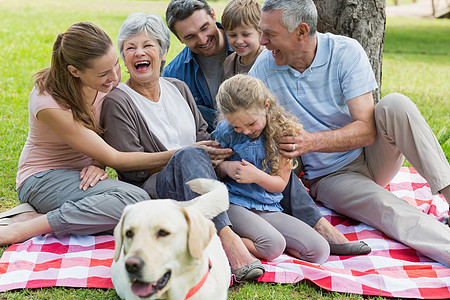 坐在公园野餐毯子上的富足的大家庭图片