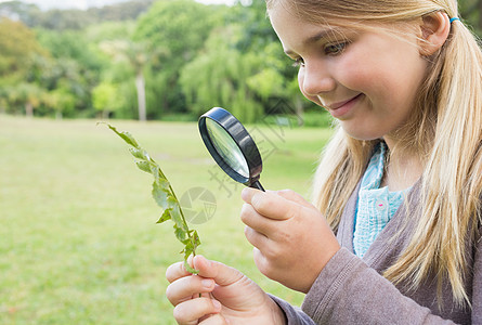 女孩在公园用放大镜检查树叶头发探索眼睛女学生童年金发学习女性镜片花园图片