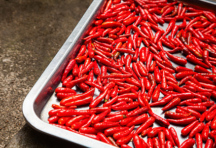 辣椒干燥烘干食物太阳香料营养蔬菜红色盘子收成农场图片