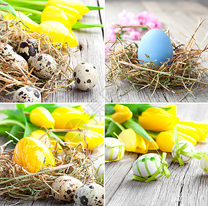 木本底的一套复活节鸡蛋郁金香背景稻草花朵鹌鹑季节性棕色黄色食物产品图片