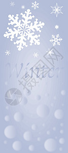 冬天阳光鸟类冷冻天气射线插图季节性描写年度雪花图片