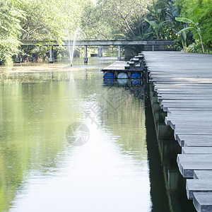 以自然方式在小林中池塘生态天空环境旅游风景岩石公园旅行森林图片