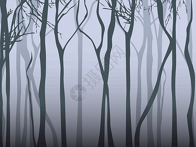 雾林木头天气墙纸薄雾情绪森林图片