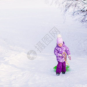 小女孩在温暖的冬日拉起雪橇衣服公园喜悦眼睛帽子女孩微笑森林草地雪花图片