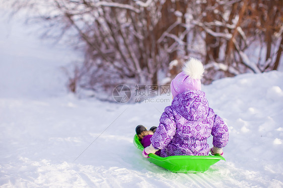 可爱的小可爱女孩在温暖的冬日拉着雪橇雪花快乐草地帽子公园婴儿喜悦乐趣季节森林图片