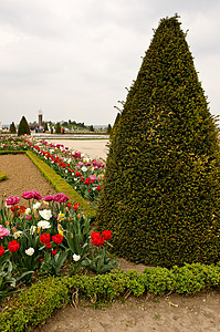 法国凡尔赛宫花园城堡阳光地标公园雕塑历史旅行天空历史性图片