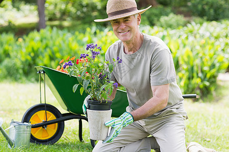 从事园艺的微笑成熟男子种植园盆栽手套土地男性园丁植物学植物独轮车绿色图片