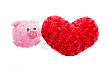 情人节心脏由皮洛罗丝和粉猪制成庆典植物礼物玫瑰生长香味热情仪式纹理织物图片