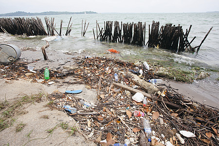 沙吉海滩的垃圾桶图片