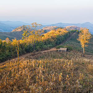 塔伊兰地区两地玉米田公园地标旅游旅行粮食农村土地国家天空阳台图片