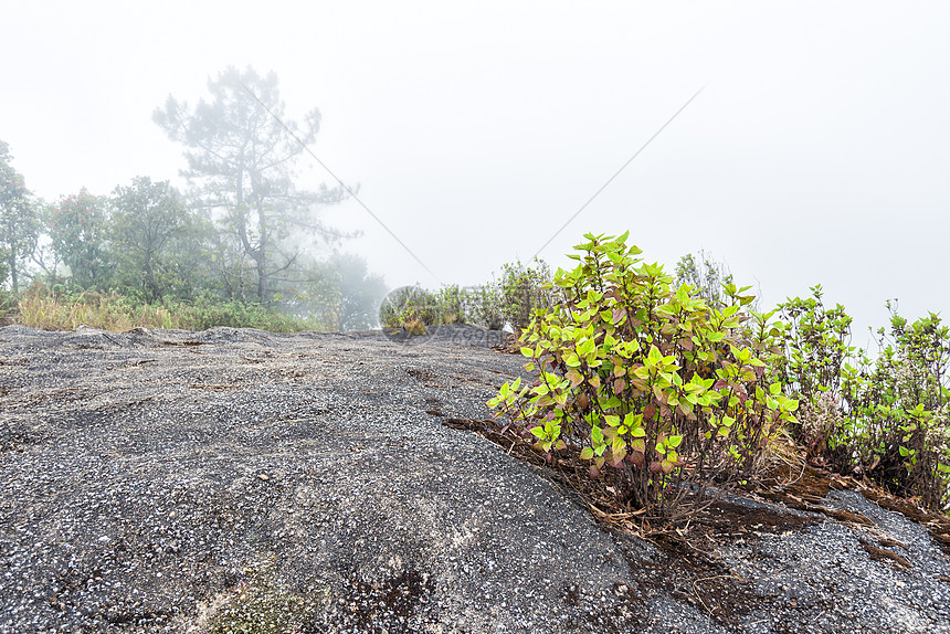 种植在石上农村国家场景阴霾石头场地薄雾水平草地绿色图片